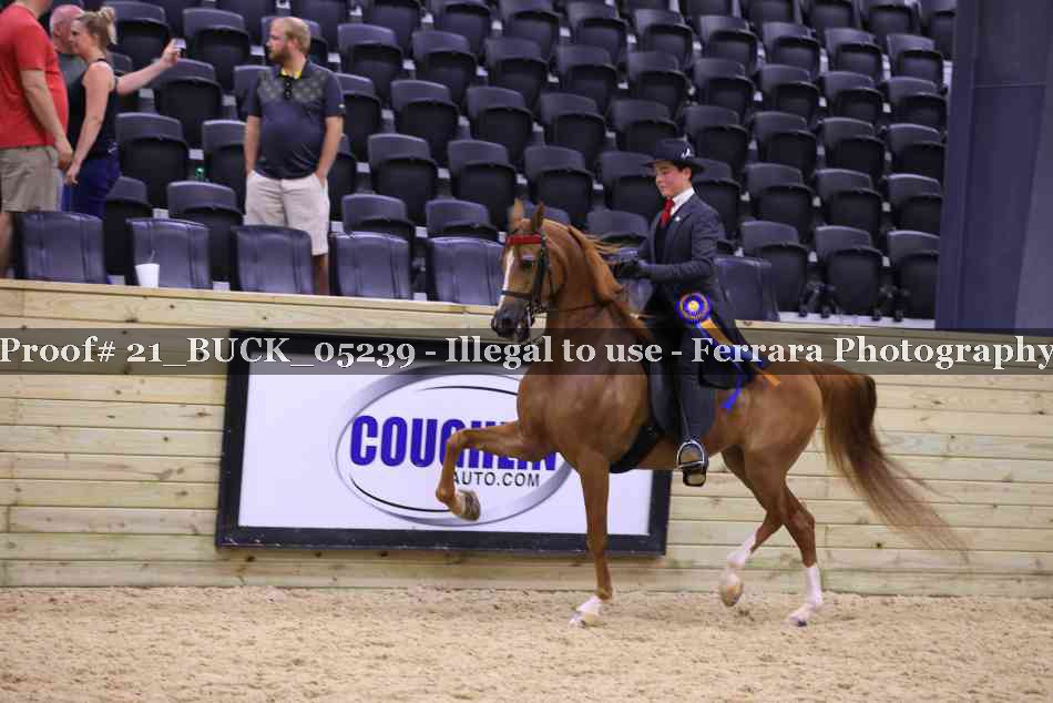 Proof 21_BUCK_05239