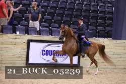 21_BUCK_05239 proof