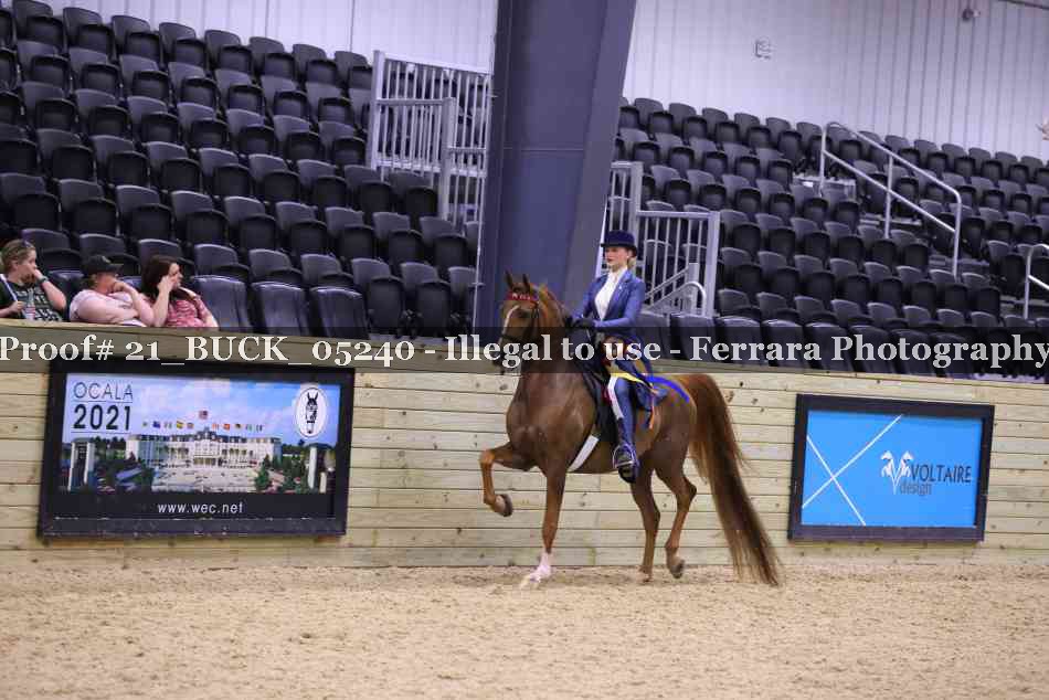 Proof 21_BUCK_05240