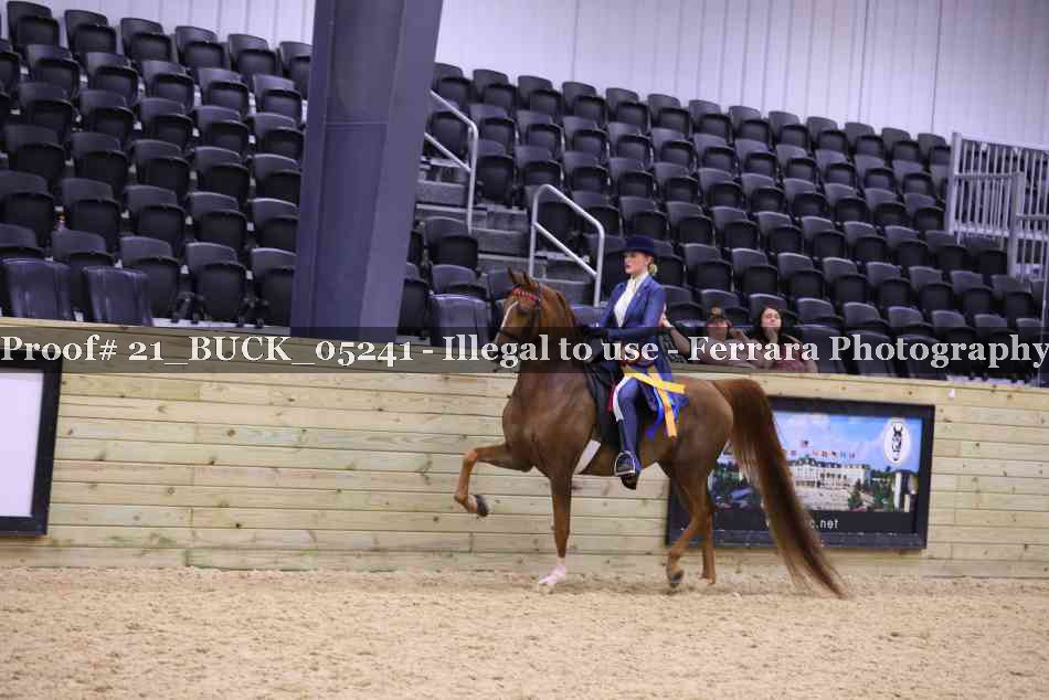 Proof 21_BUCK_05241