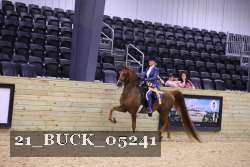 21_BUCK_05241 proof
