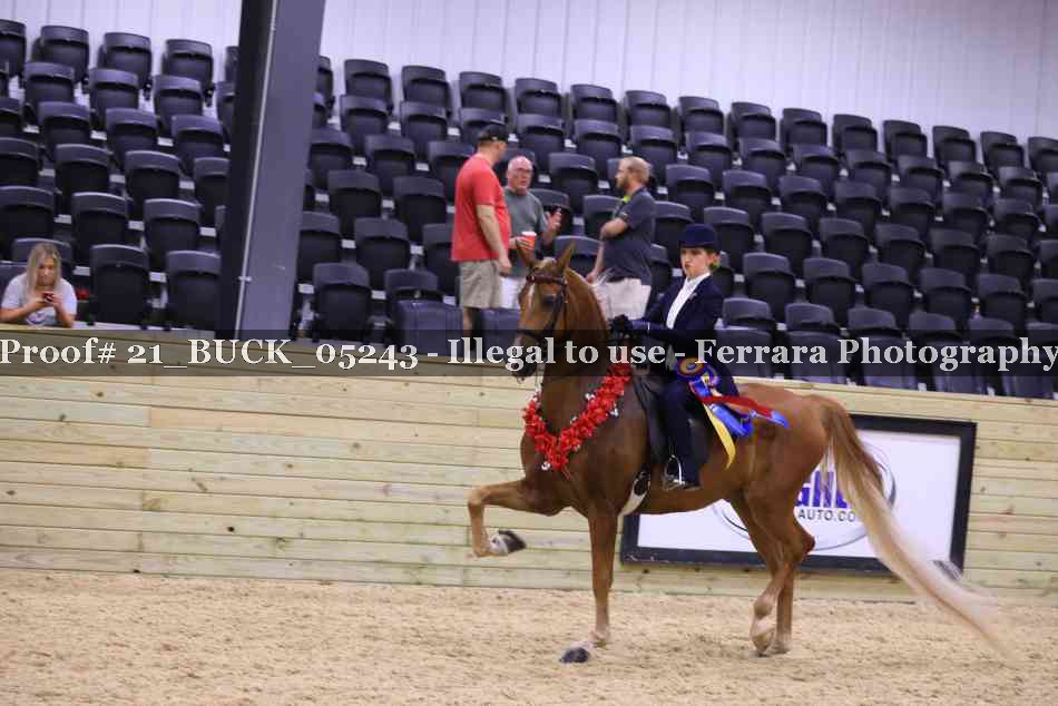 Proof 21_BUCK_05243