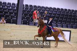 21_BUCK_05243 proof