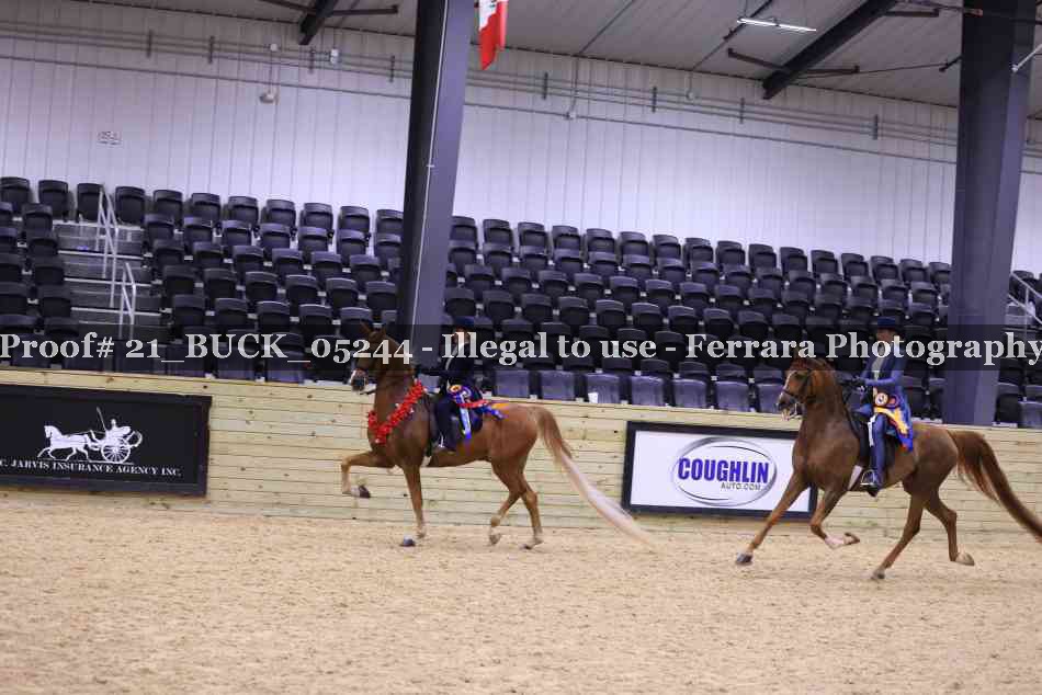 Proof 21_BUCK_05244