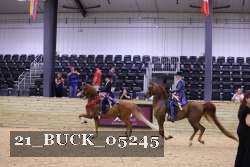 21_BUCK_05245 proof