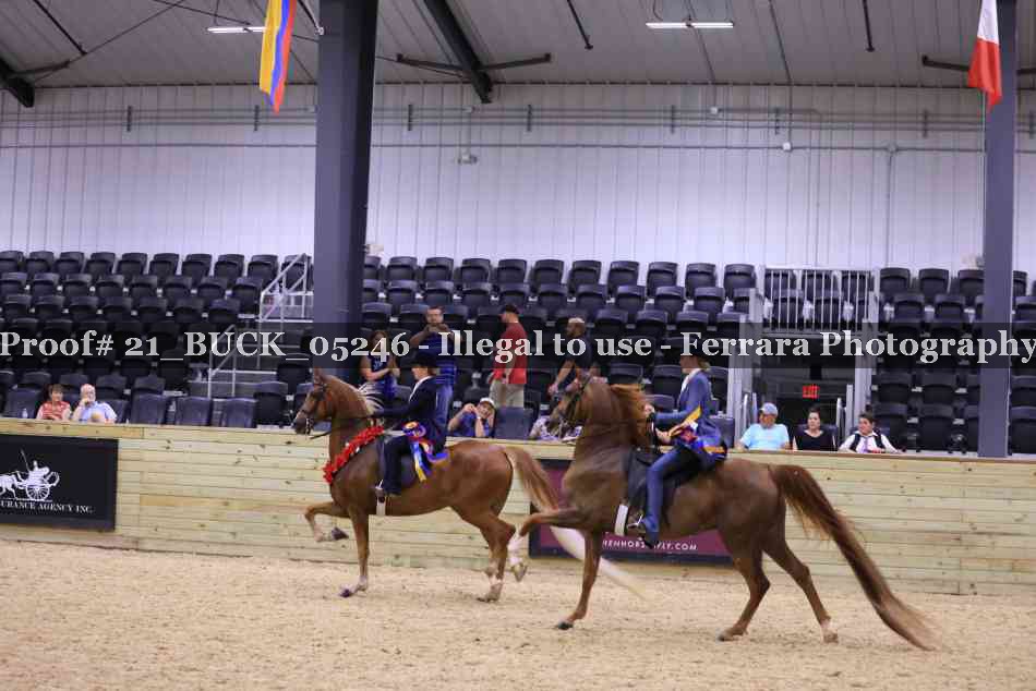Proof 21_BUCK_05246