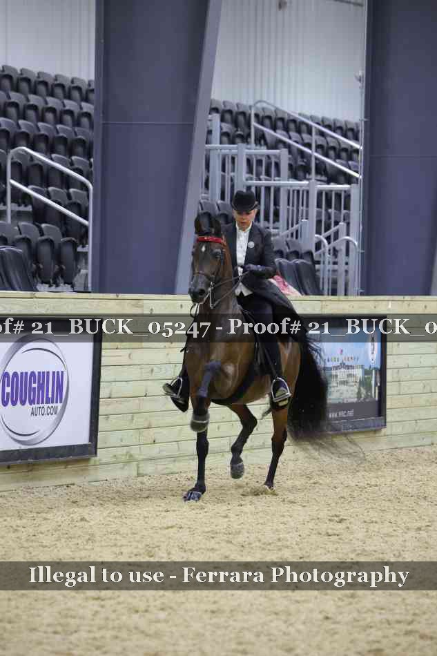 Proof 21_BUCK_05247