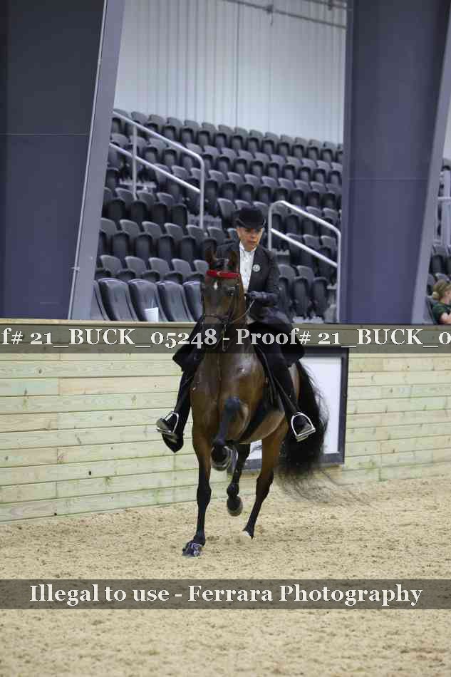 Proof 21_BUCK_05248