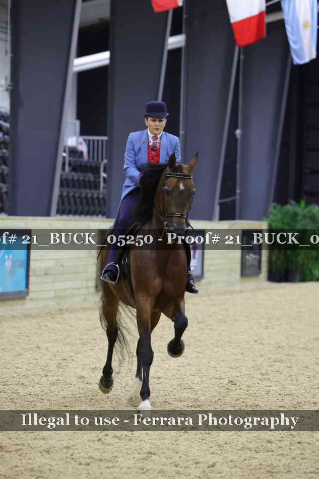 Proof 21_BUCK_05250
