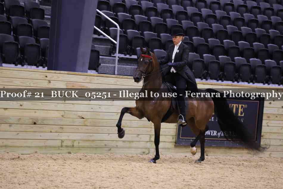 Proof 21_BUCK_05251