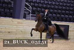 21_BUCK_05251 proof
