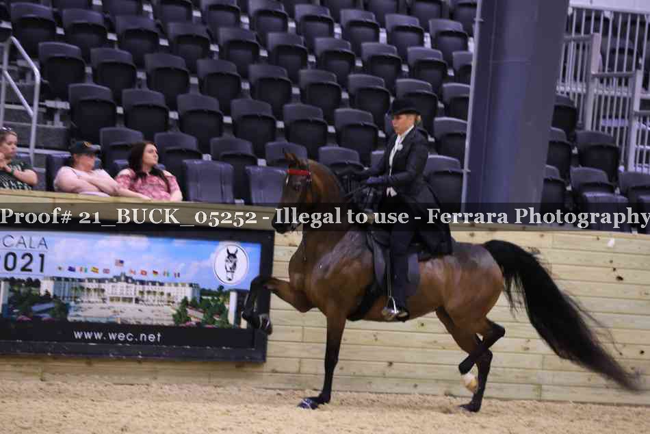 Proof 21_BUCK_05252
