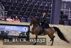 21_BUCK_05252 proof