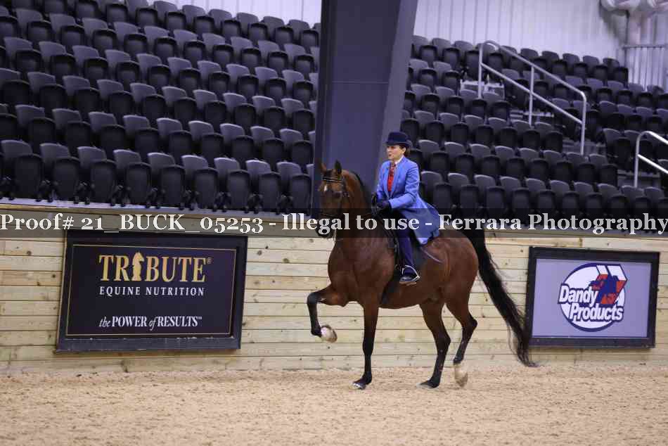 Proof 21_BUCK_05253