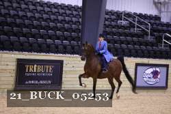 21_BUCK_05253 proof