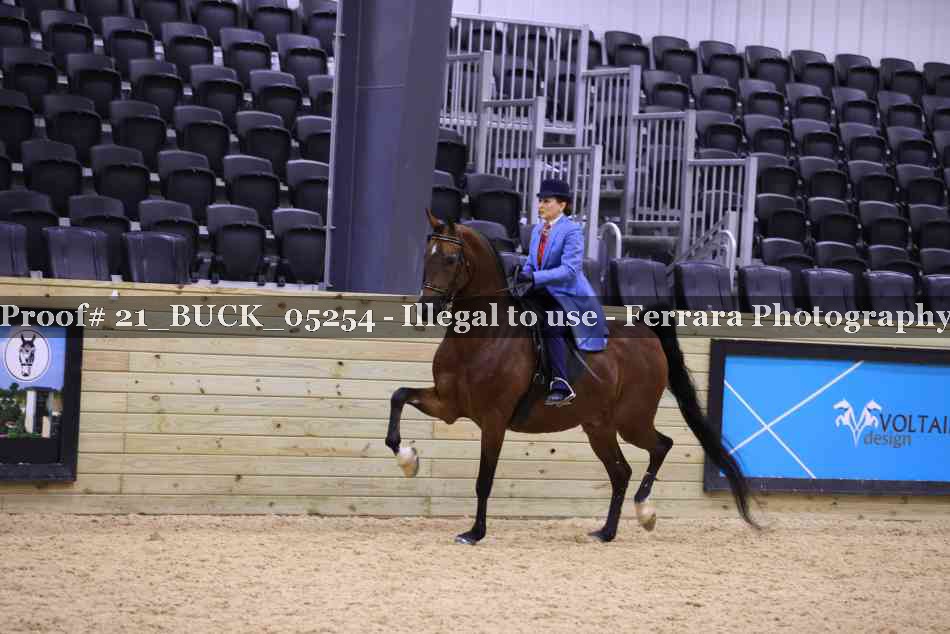 Proof 21_BUCK_05254