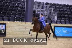 21_BUCK_05254 proof