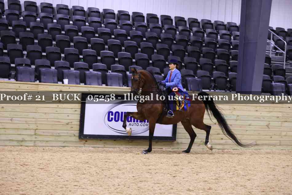 Proof 21_BUCK_05258