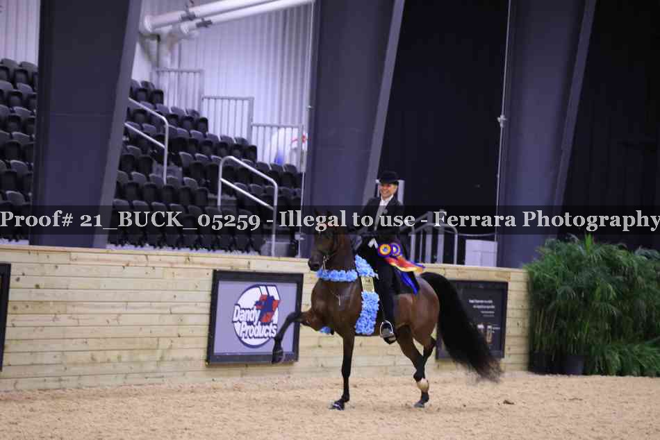 Proof 21_BUCK_05259