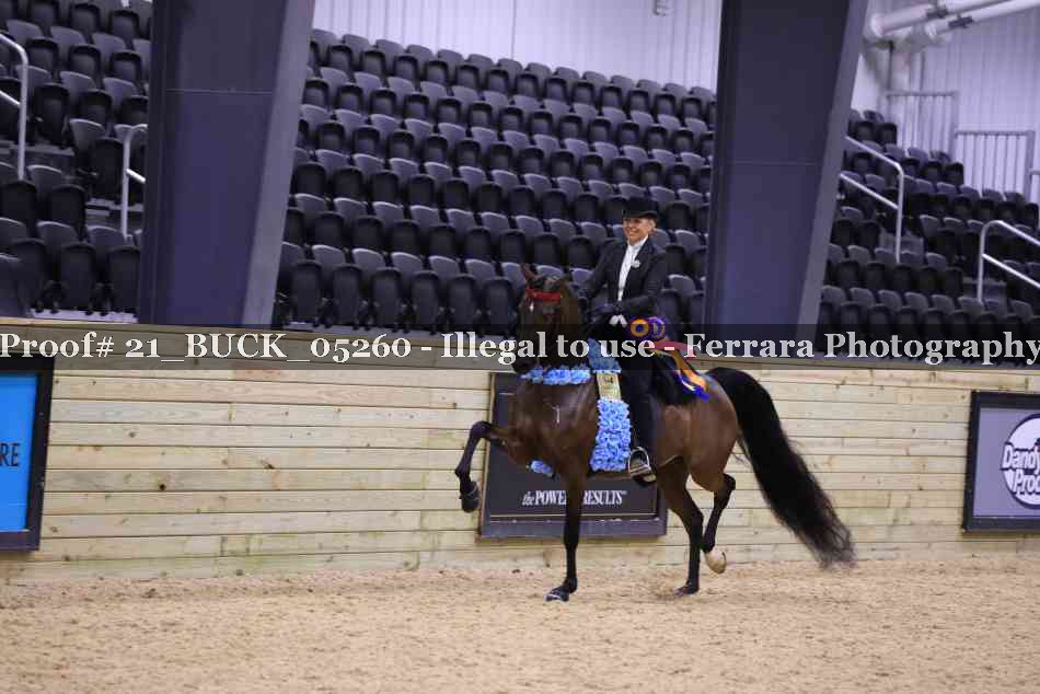Proof 21_BUCK_05260