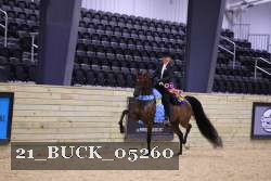 21_BUCK_05260 proof