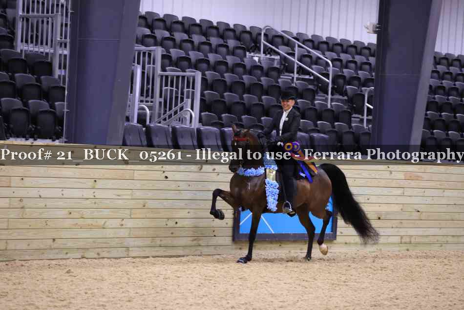 Proof 21_BUCK_05261