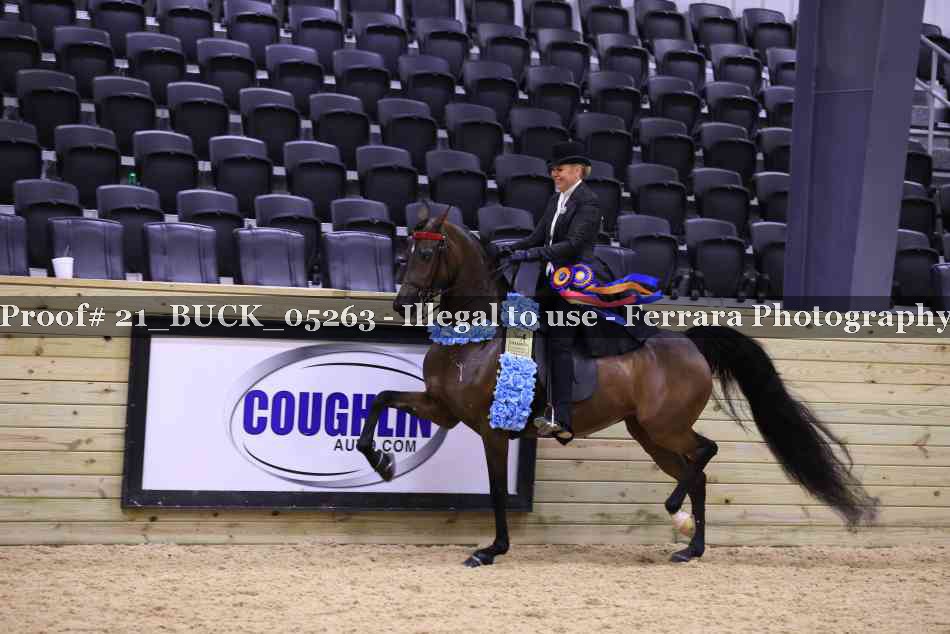 Proof 21_BUCK_05263
