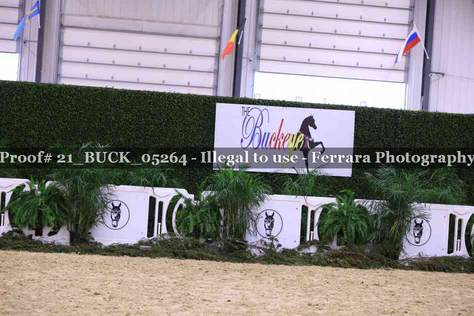 Proof 21_BUCK_05264