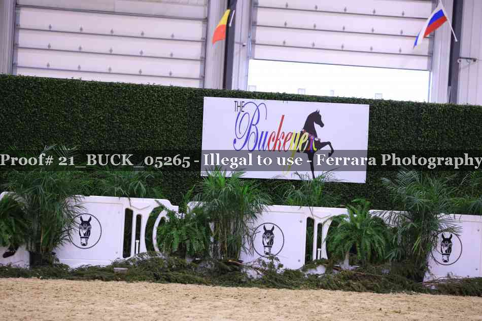 Proof 21_BUCK_05265