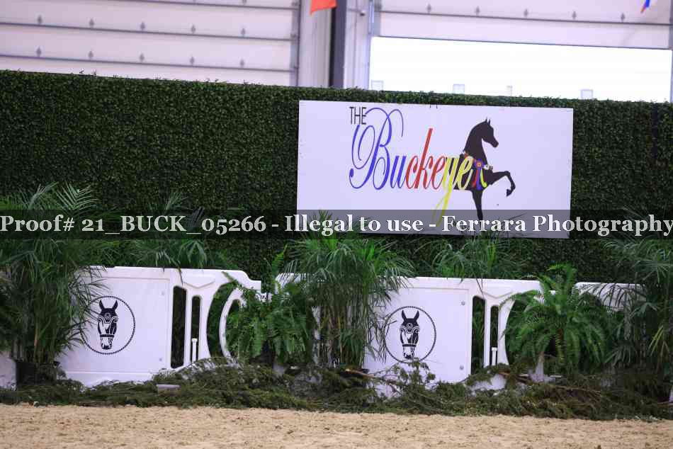 Proof 21_BUCK_05266