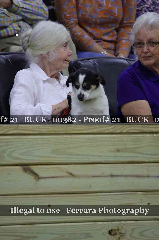 Proof 21_BUCK_00382