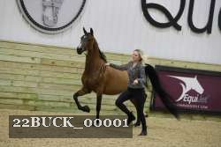 22BUCK_00001 proof