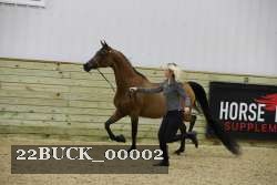 22BUCK_00002 proof