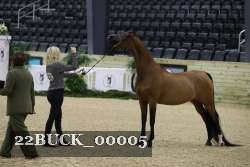 22BUCK_00005 proof