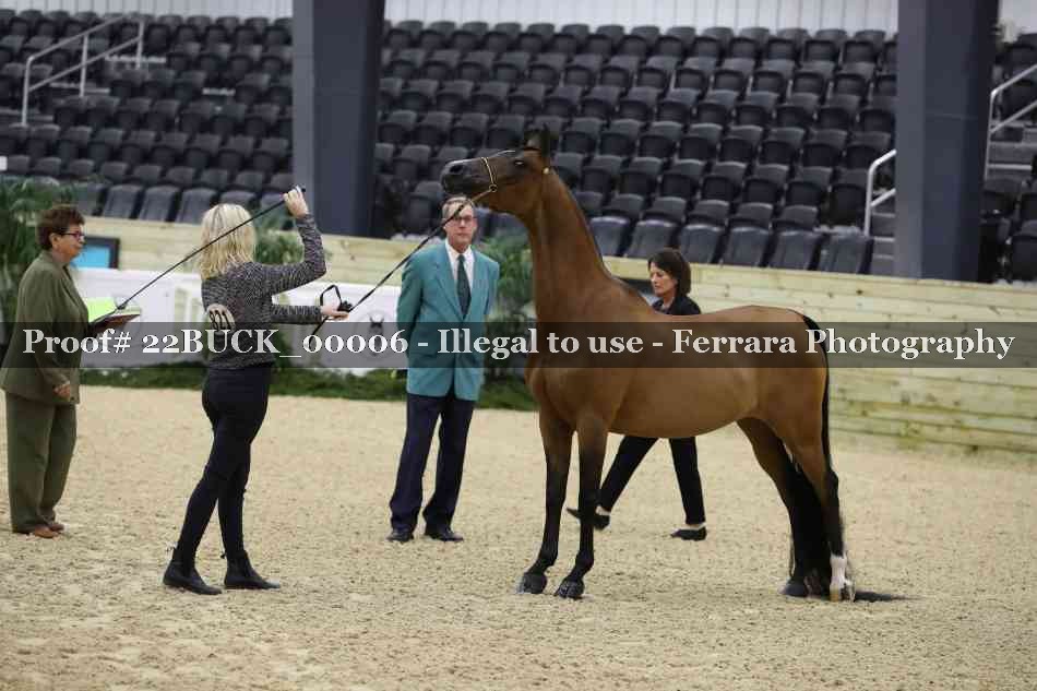 Proof 22BUCK_00006