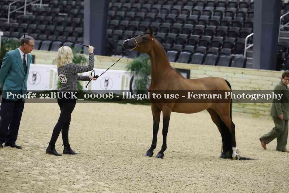 Proof 22BUCK_00008
