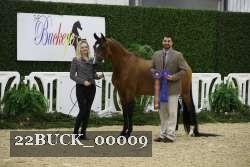22BUCK_00009 proof