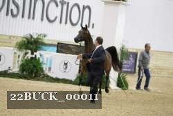 22BUCK_00011 proof