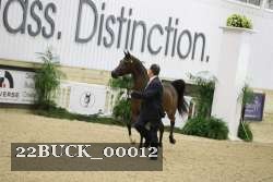 22BUCK_00012 proof
