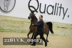 22BUCK_00013 proof