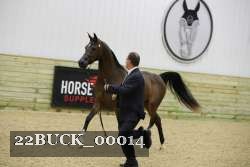 22BUCK_00014 proof