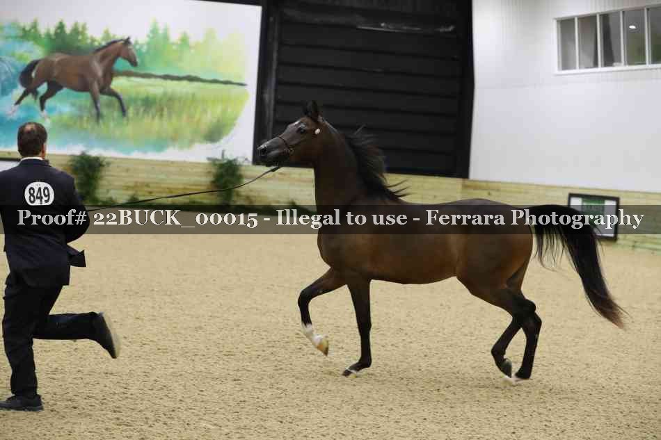 Proof 22BUCK_00015