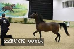 22BUCK_00015 proof