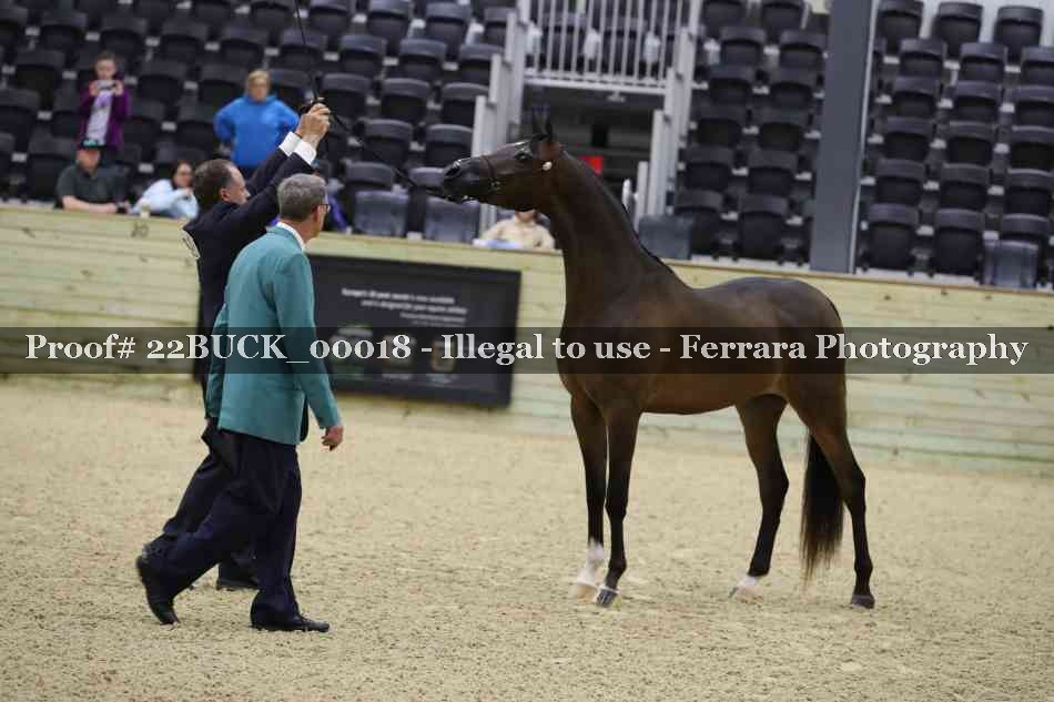 Proof 22BUCK_00018
