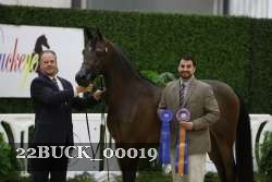 22BUCK_00019 proof