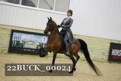 22BUCK_00024 proof