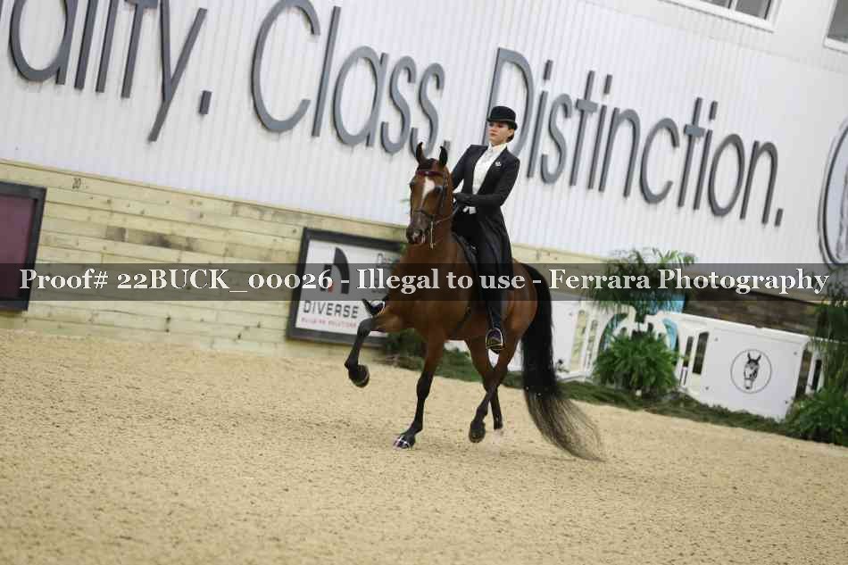 Proof 22BUCK_00026