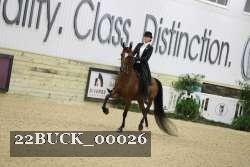22BUCK_00026 proof