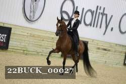 22BUCK_00027 proof