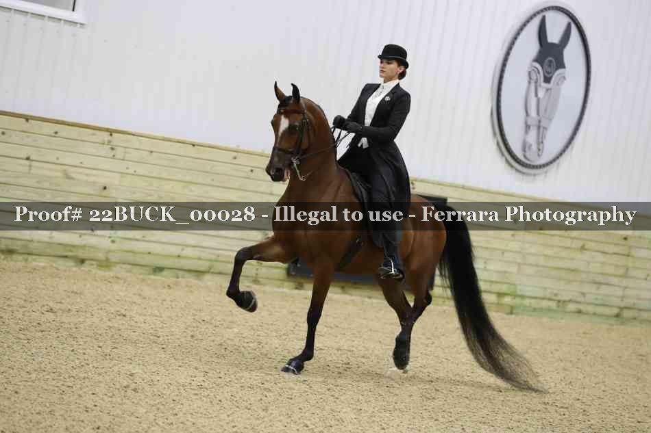 Proof 22BUCK_00028